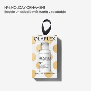 Nº.3 HAIR PERFECTOR™ ORNAMENT