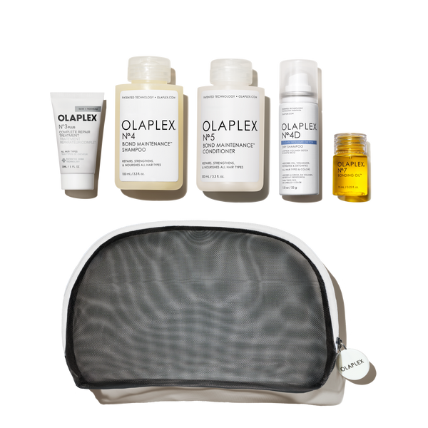 THE HEALTHY HAIR TRAVEL SET - main view
